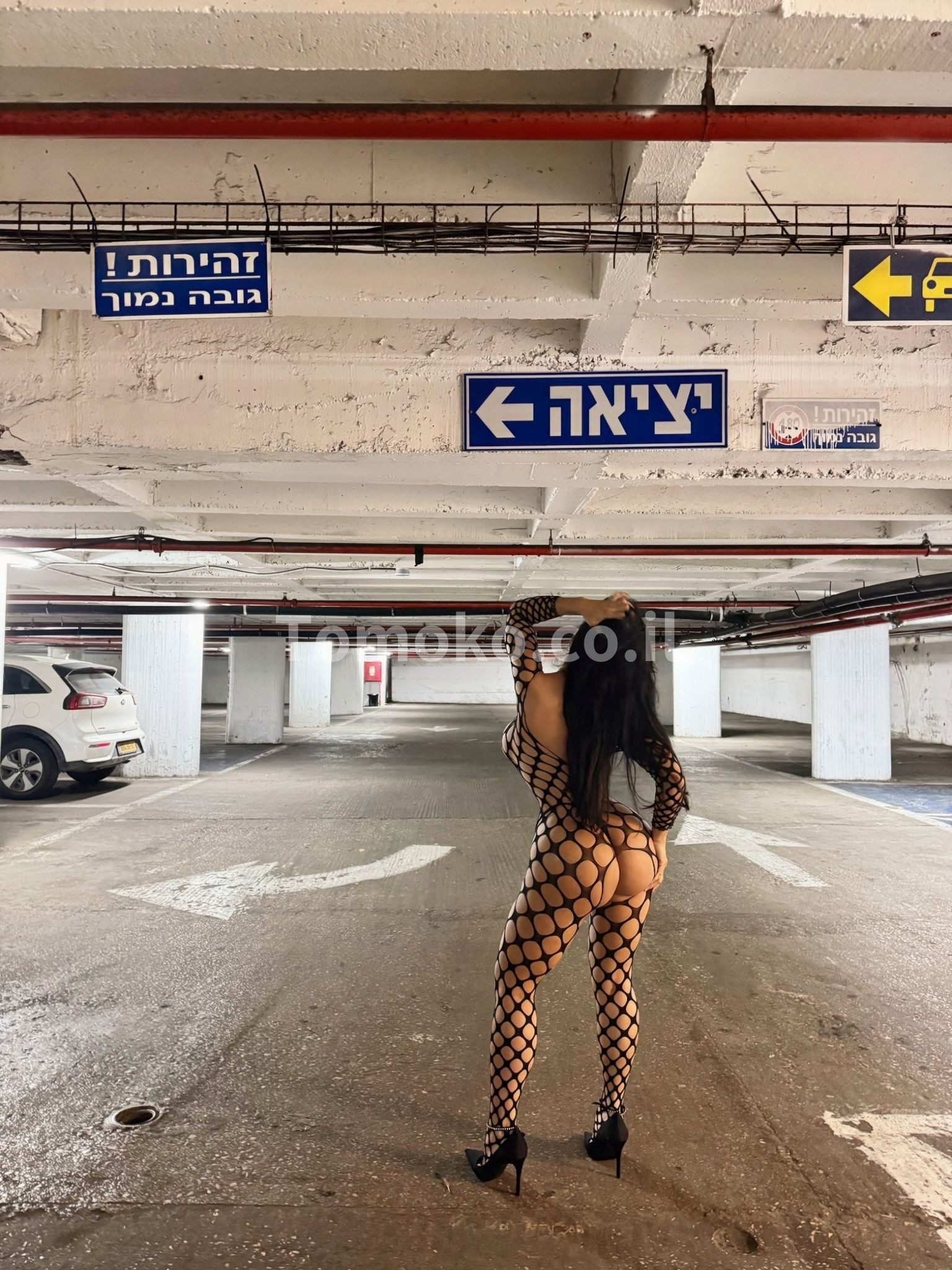 אריאנה – תמונות אמיתיות – באיזור תל אביב – דרום-אמריקאית